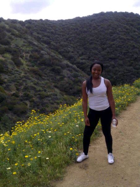 hollywood hills