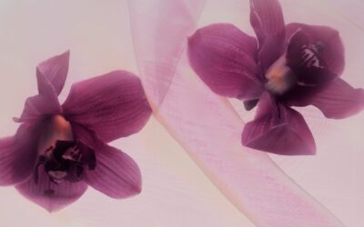 The Reason I Have Been Seldomly Posting Online